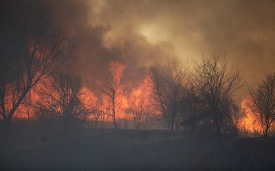 Caraș-Severin: Incendii de vegetație scapă de sub control