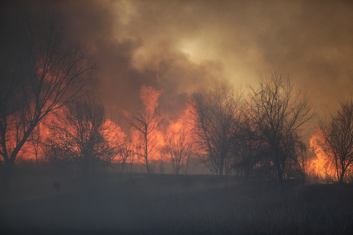 Caraș-Severin: Incendii de vegetație scapă de sub control