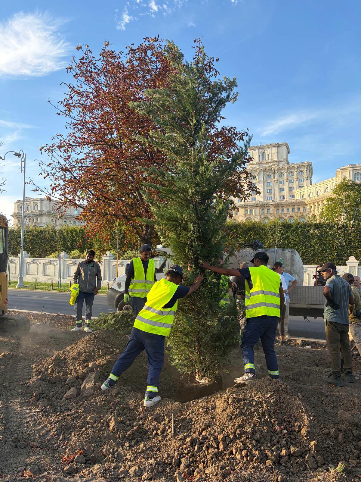 Ciucu: Coridor verde pe 13 Septembrie, 1200 de copaci noi
