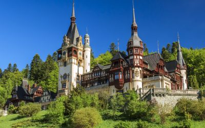 Coreeana care a cucerit România: „Parcă e de pe altă planetă”