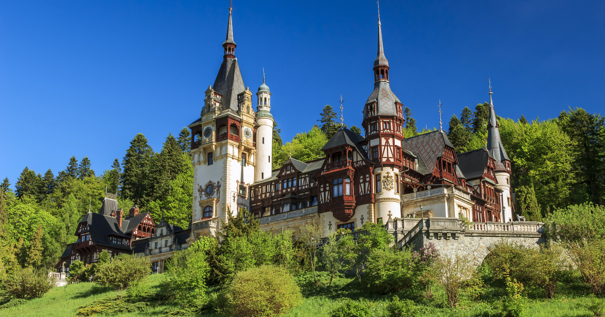 Coreeana care a cucerit România: „Parcă e de pe altă planetă”