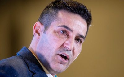 Manda (PSD): Pregătiți de alegeri și guvernare