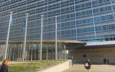 Europa, slabă contra unui nou război cu Rusia
