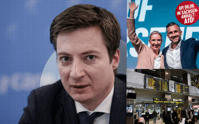Caramitru, tun la adresa diasporei după victoria AfD în Germania