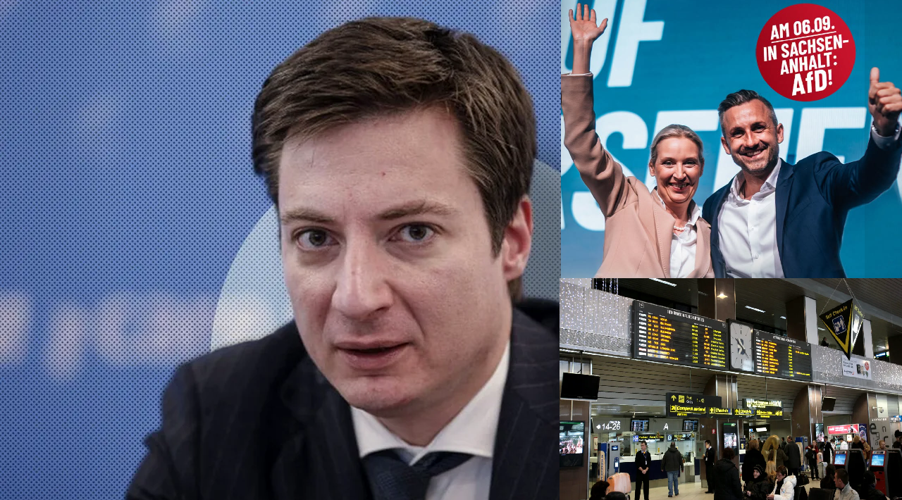 Caramitru, tun la adresa diasporei după victoria AfD în Germania