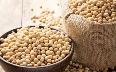 Alimentul-minune din menopauză: imitatorul natural de estrogen