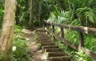 Artist dispărut în Puerto Rico, găsit după 40 de ani