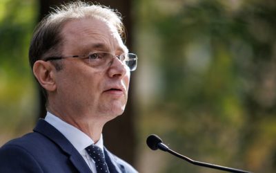 Niculescu: Neacșu, om competent la Interne. A fost condamnat