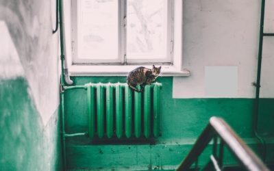 București în prag de iarnă: Termoenergetica umple rețeaua