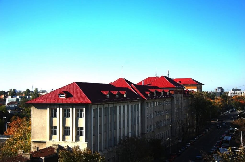 Directoarea Caragiale, eliminată la competențe. Renunță la carieră.
