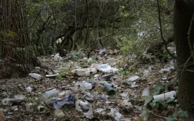 Pădure rara, groapă de gunoi: 40.000 tone deșeuri
